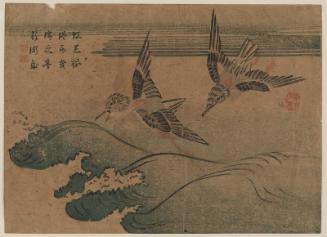 Two Birds and Waves