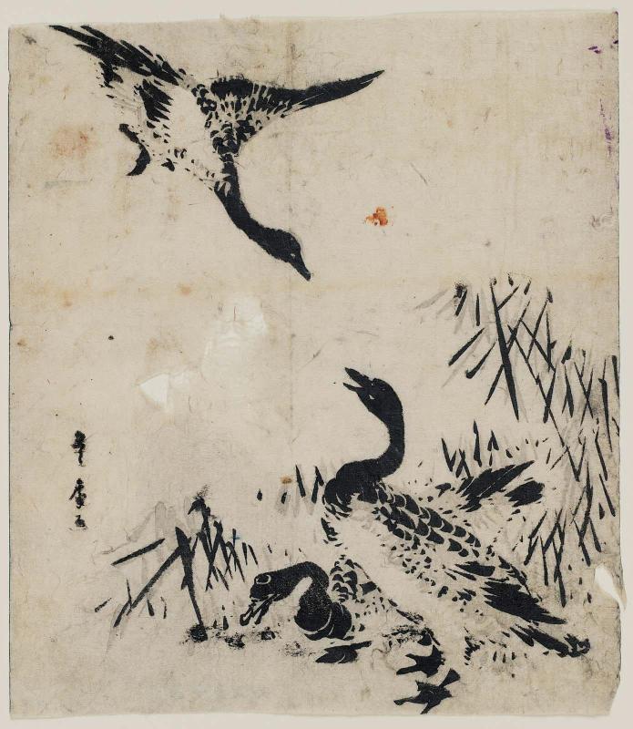 Wild Geese