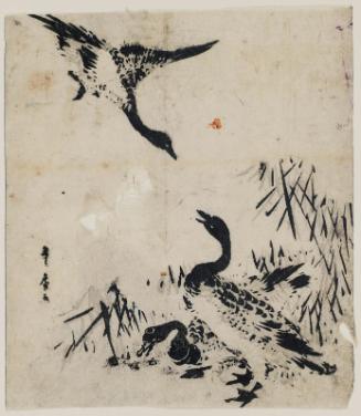 Wild Geese