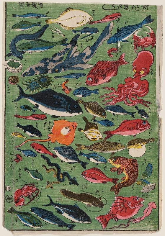 A New Collection of Fish (Shinpan uo-zukushi)