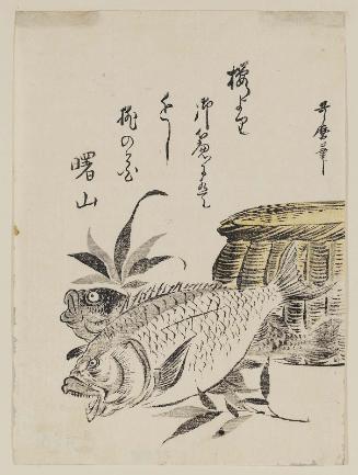 Fish and Creel