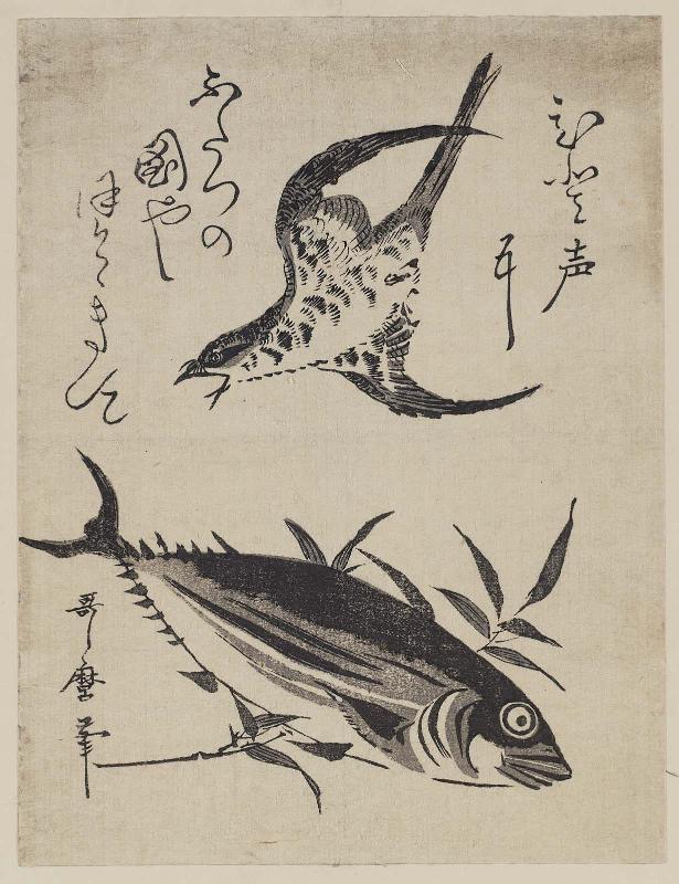 Cuckoo and Bonito