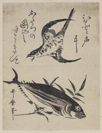 Cuckoo and Bonito