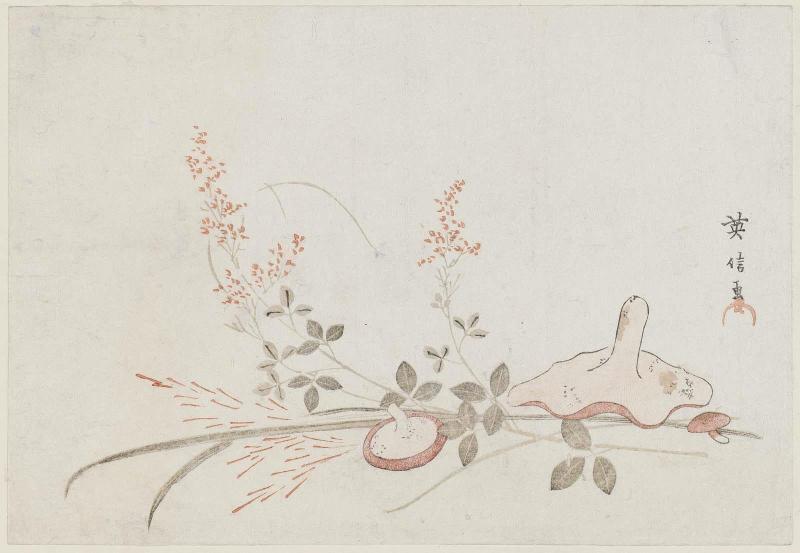 Mushrooms and Bush Clover