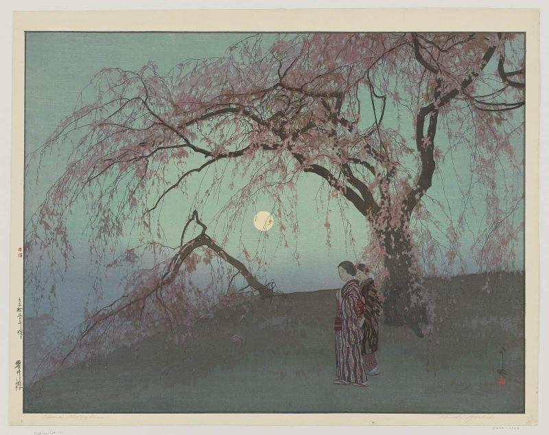 Kumoi Cherry Trees (Kumoi sakura)