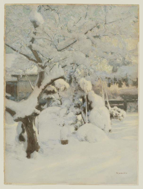 Garden in Snow