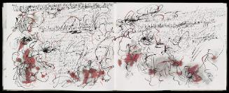 The Diary of a Madman