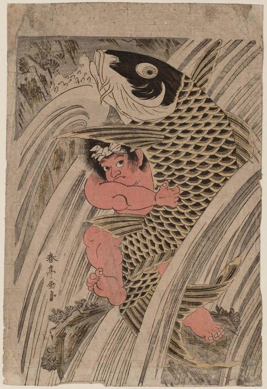Oniwakamaru and Carp in Waterfall