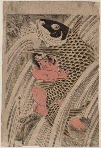 Oniwakamaru and Carp in Waterfall