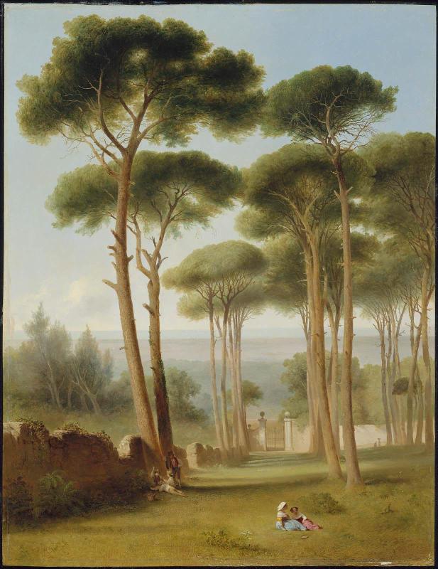 Pines of the Villa Barberini