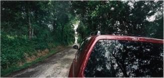 Piney Flats, TN (Country Road / Red Highlander)