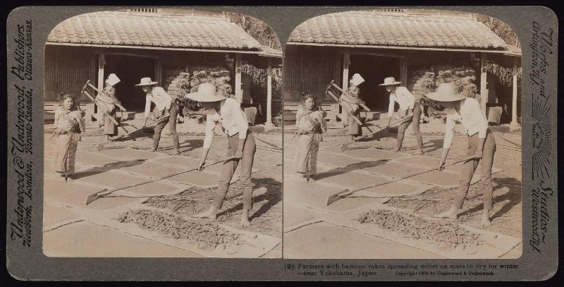 1 of 48 stereo cards of Japanese subjects, pub. Underwood & Underwood 1904