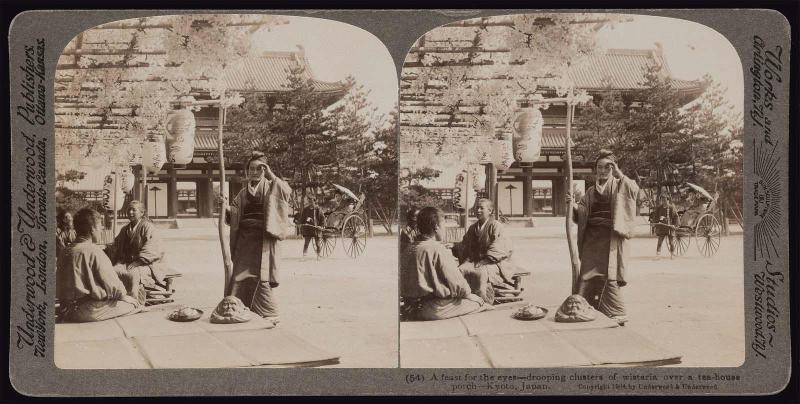 1 of 48 stereo cards of Japanese subjects, pub. Underwood & Underwood 1904