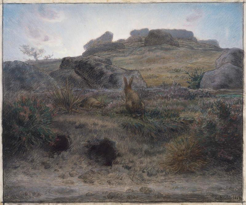Rabbit Warren, Dawn