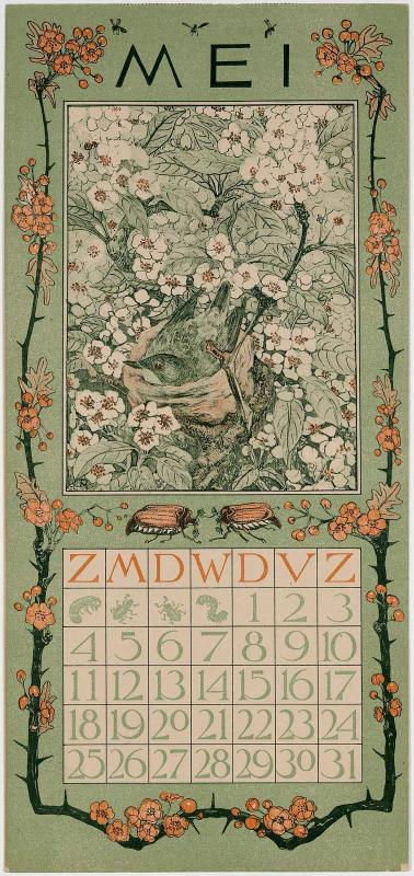 Blackbird on its Nest among Blossoms (1902 Calendar: May)