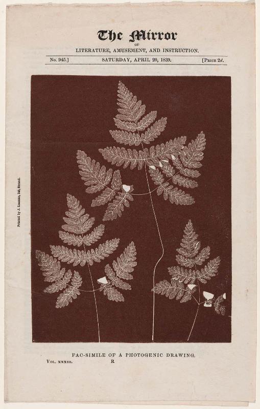 Ferns. Fac-Simile of a Photogenic Drawing (Page from The Mirror, vol. 33, no.  945 (20 April,1839)).