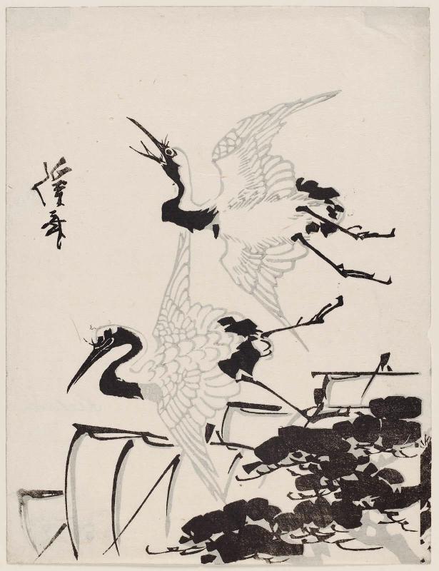 Flying Cranes