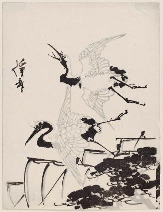 Flying Cranes
