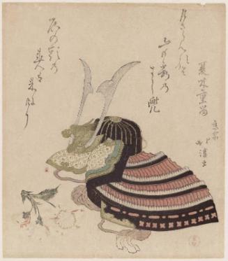 Helmet