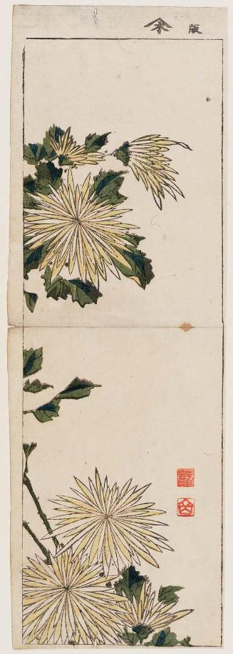Chrysanthemums