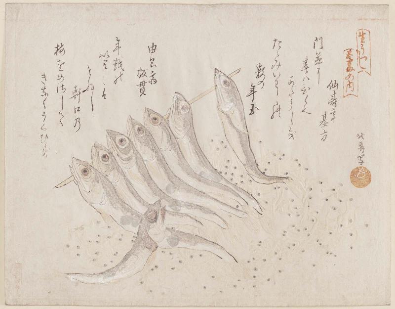 Dried Fish, from the series Drawn from Life, a Set of Five (Ikiutsushi goban no uchi)