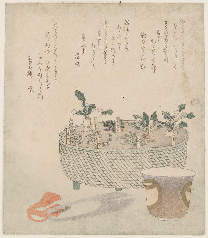 The Seven Herbs (Nanakusa), with Scissors and Teacup