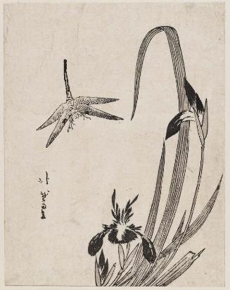 Iris and Dragonfly
