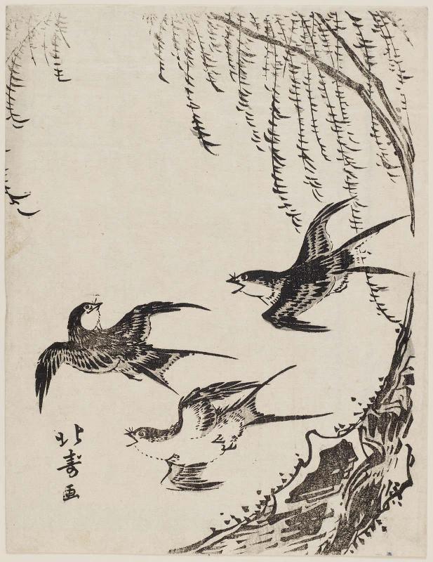Swallows Flying Past Willow Tree
