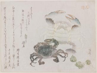 Two Crabs