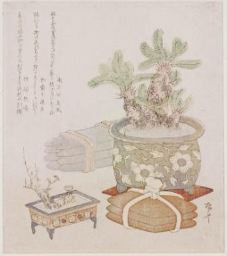 Bundles of Iron and Copper Ingots with a Potted Sago Palm, Plum, and Adonis Plant