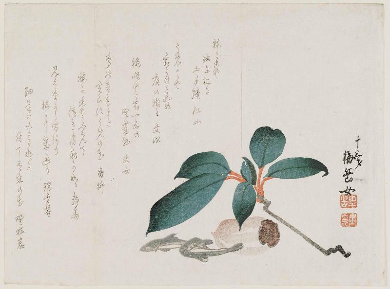 Persimmon Fruit and Branch with Dried Fish