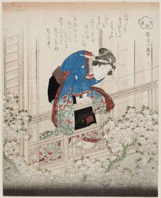 Cherry Blossoms to Pick for Oneself (Taori-zakura), from the series Thirty-six Kinds of Cherry Blossoms (Sakura sanjûroku-shu chû)