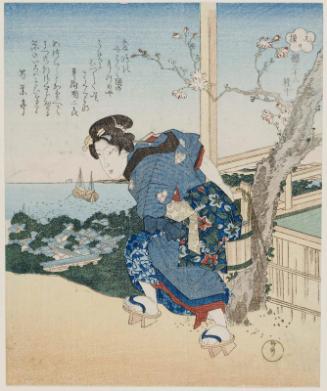 Cherry Blossoms on New Year's Day (Ganjitsu sakura), from the series Thirty-six Kinds of Cherry Blossoms (Sakura sanjûroku-shu chû)