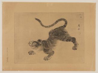 Tiger (Supplement to Asahi Shinbun no. 1525)