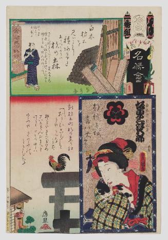 Ha Brigade, First Group, Suginomori: Actor Bandô Mitsugorô VI as Shirokiya Okoma, from the series Flowers of Edo and Views of Famous Places (Edo no hana meishô-e)