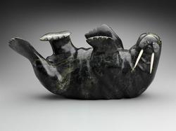 Walrus