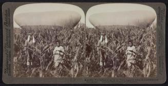 Stereo card with Russo-Japanese War Images