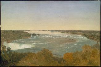 Niagara Falls and the Rapids