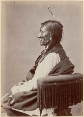 Charge on the Hawk (Brulé Dakota)