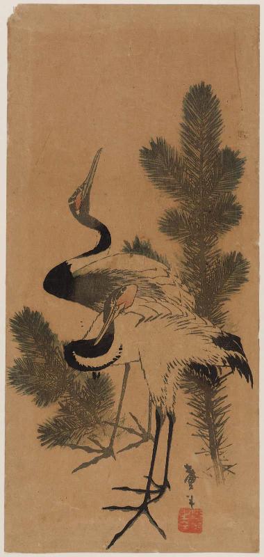 Cranes and Pine Shoots