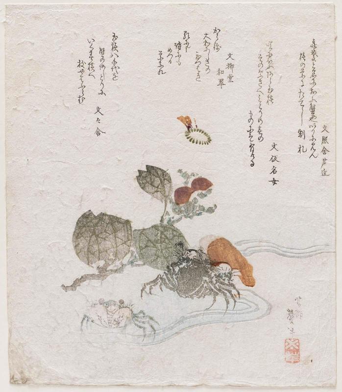 Crabs