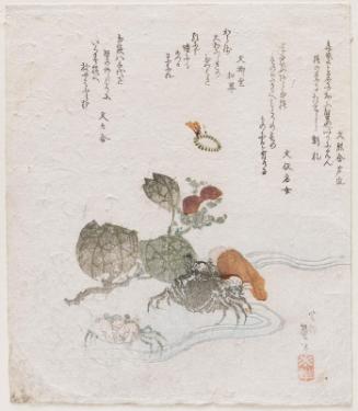 Crabs
