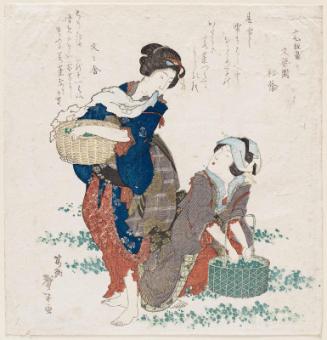 Women Gathering Herbs