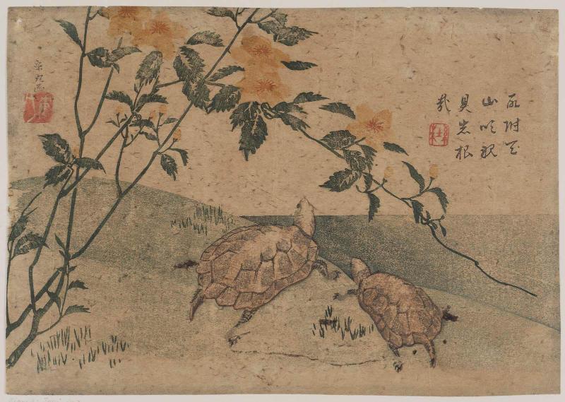 Two Turtles and Kerria Roses (Yamabuki)