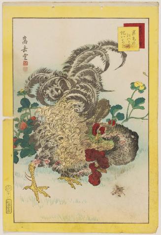 No. 11, Curly-feathered Chickens and Wild Strawberries (Sakage no niwatori hebi ichigo), from the series Forty-eight Hawks Drawn from Life (Ikiutsushi shijûhachi taka)