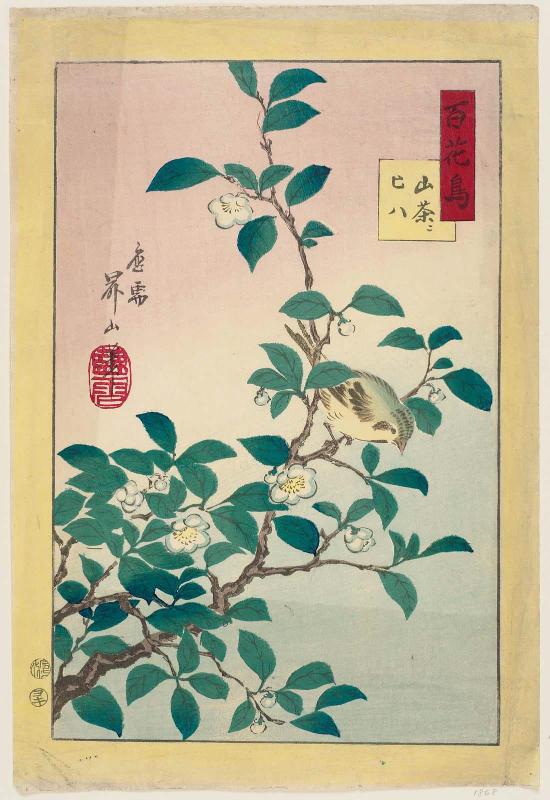Camellia and Eurasian Siskin (Sancha ni hiwa), from the series One Hundred Birds and Flowers (Hyakkachô)