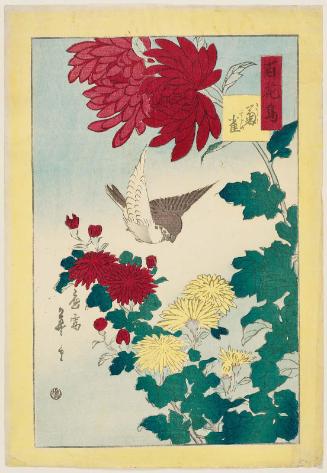 Chrysanthemums and Sparrow (Kiku, suzume), from the series One Hundred Birds and Flowers (Hyakkachô)