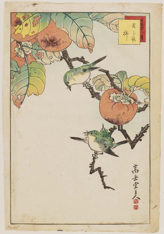 No. 35, Japanese White-eye and Persimmon (Mejiro, kaki), from the series Forty-eight Hawks Drawn from Life (Ikiutsushi shijûhachi taka)