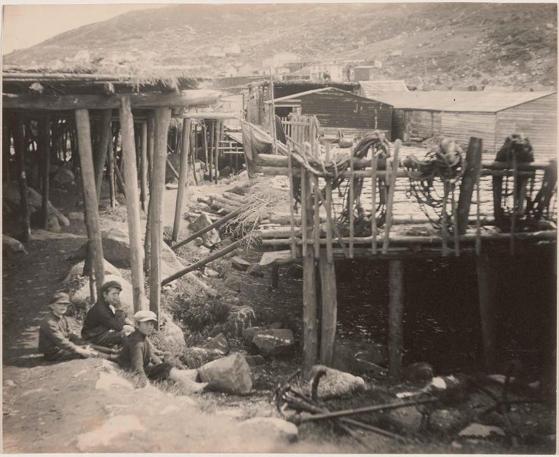 Boys Sitting Under Dock Platforms