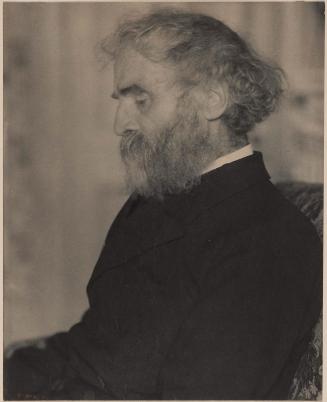Profile of a Bearded Man